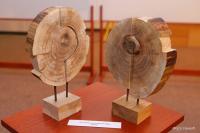 Уједињене боје Диванхане