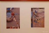 Изложба графика Александра Девића