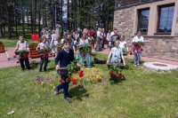 Festival cveća