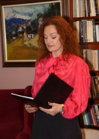 Милорад Милинковић, аутор романа