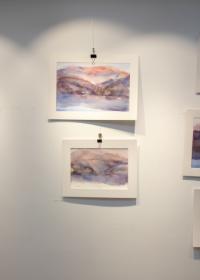 Изложба слика Душана Старчевића