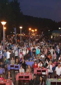 Летњи улични ерски кабаре 2013.