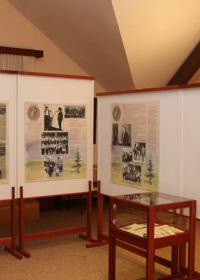 Омаж Михајлу Ћуповићу