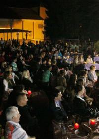 Летњи улични ерски кабаре 2012