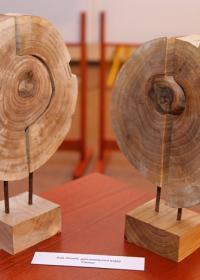 Уједињене боје Диванхане