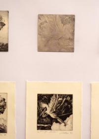 Звонко Шостар - ретроспектива графика