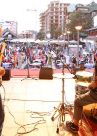 златибор маљоковић