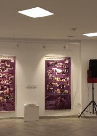 Изложба Библиотеке града Београда „Памтићу све: Десанка Максимовић (1898-1993)“