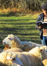 Друга награда, Илић Весна, Златибор